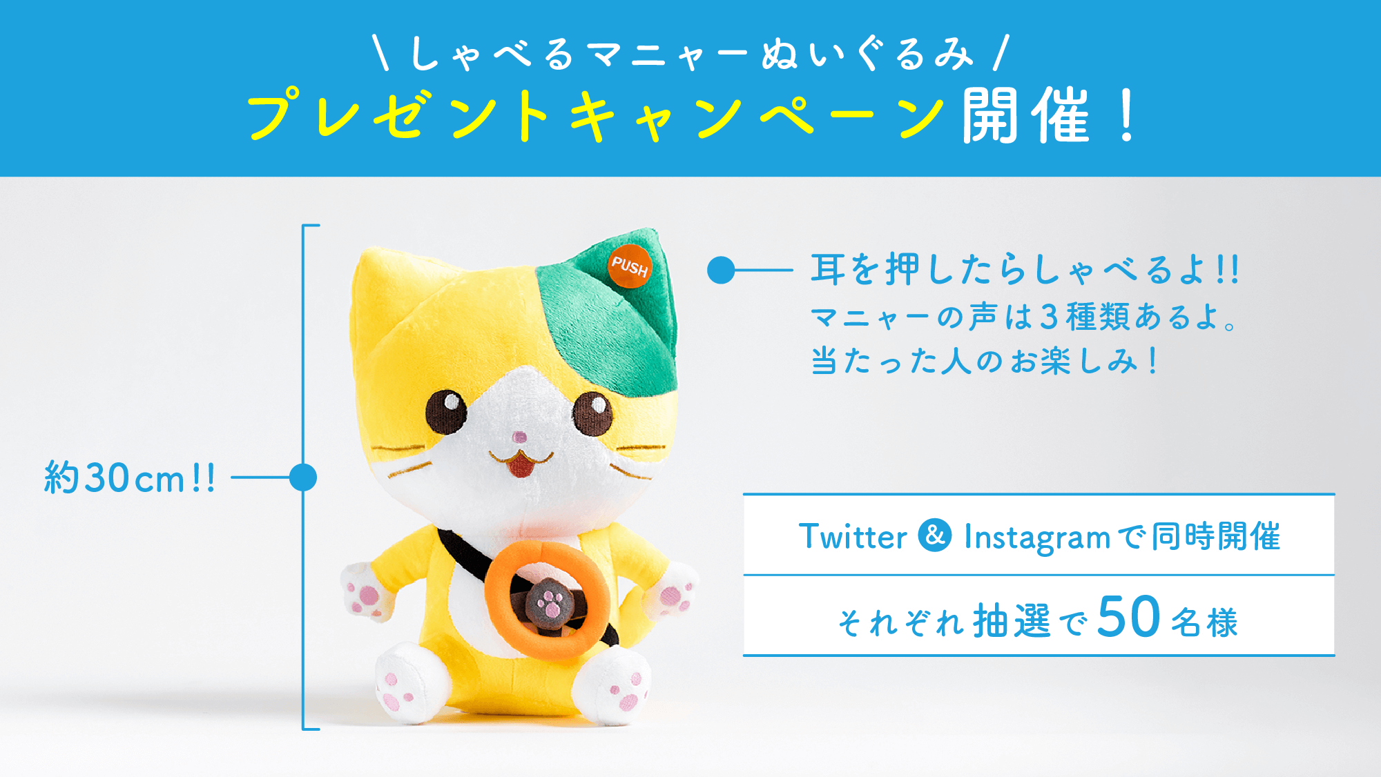 Twitterキャンペーン開催！